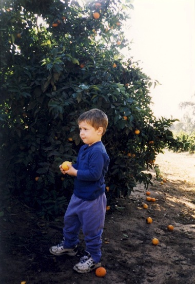 pikiwiki:  http://upload.wikimedia.org/wikipedia/commons/6/65/PikiWiki_Israel_8146_Gan-Samuel_-_in_the_orange_grove_-_1999.jpg